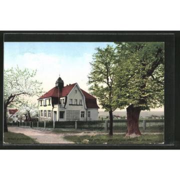 tolle AK Dresden-Niederpoyritz-Rockau, Partie an der 400 jährigen Linde 1924