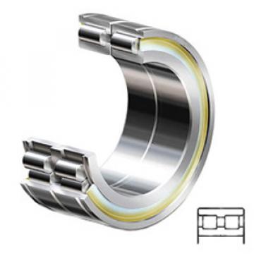 INA SL045016 Cylindrical Roller Bearings