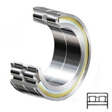 INA SL06024-E Cylindrical Roller Bearings