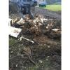 13 Ton Excavator Tree Stump Shear - Root Shear Root Harvester  CAT JCB KOMATSU #6 small image