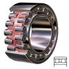 SKF NN 3017 TN9/SPW33 Cylindrical Roller Bearings