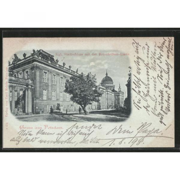 tolle Mondschein-AK Potsdam, Kgl. Stadtschloss mit der Bittschriften-Linde 1898 #1 image