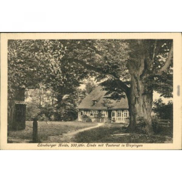 Ansichtskarte Bispingen Pastorat mit 500 jährige alte Linde 1923 #1 image