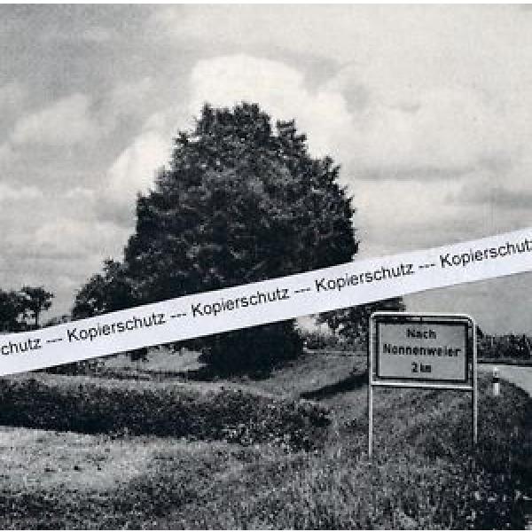 Wittenweier bei Lahr - Linde - um 1960             M 19-9 #1 image