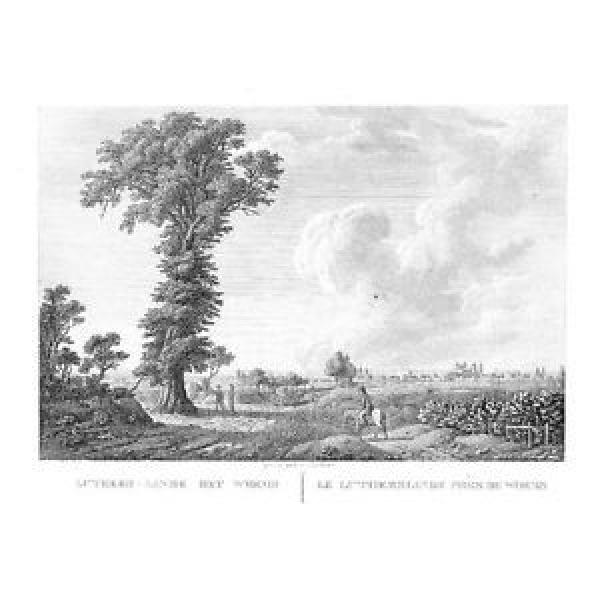 1820 - Worms Luther-Linde Original Kupferstich gravure engraving #1 image