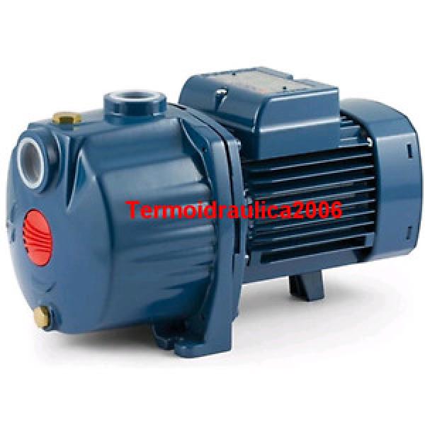 Multi Stage Centrifugal Electric Water Pump 3CPm 100-C 0,85Hp 240V Pedrollo Z1 #1 image