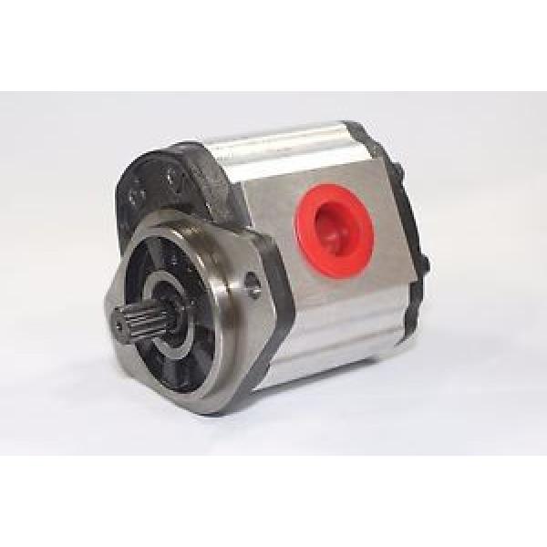 Hydraulic Gear Pump 1PN082CG1S13C3BNNS 8.2 cm³/rev  250 Bar Pressure Rating #1 image