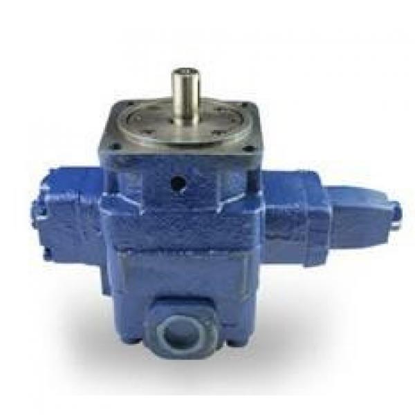 YBX Series Limited Pressure Variable Vane Pump #1 image