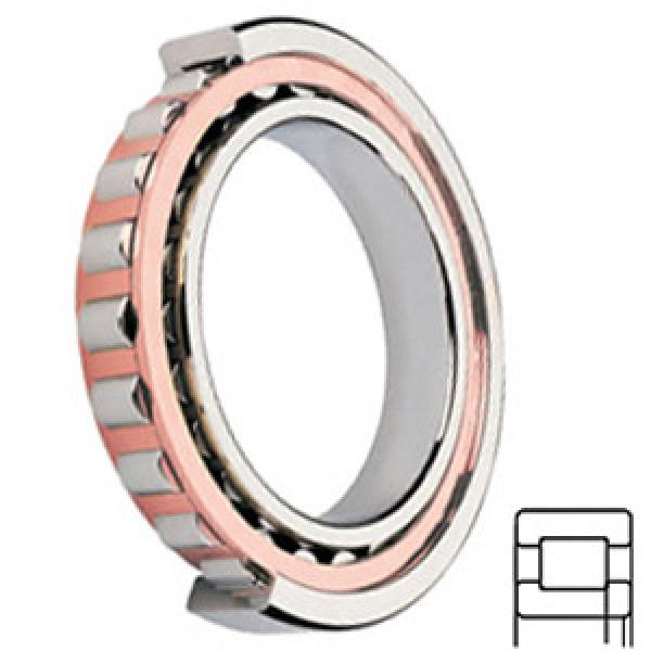 SKF NUP 205 ECP/C3 Cylindrical Roller Bearings #1 image