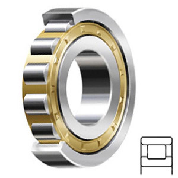 SKF N 324 ECM/C3 Cylindrical Roller Bearings #1 image