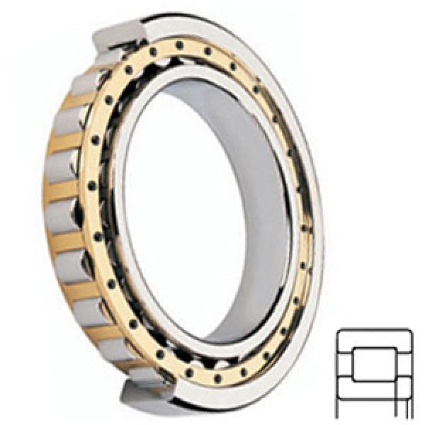 FAG BEARING NUP2319-E-M1 Cylindrical Roller Bearings #1 image