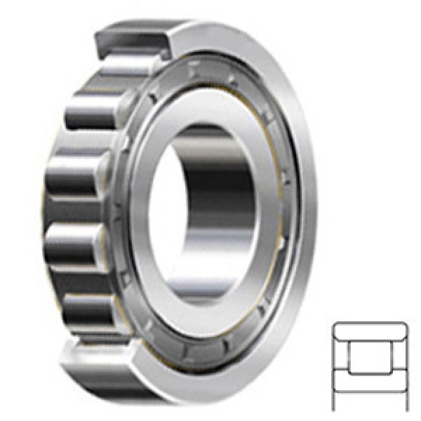 NSK N228WC3 Cylindrical Roller Bearings #1 image