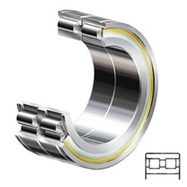 INA SL045008 C4 Cylindrical Roller Bearings #1 image
