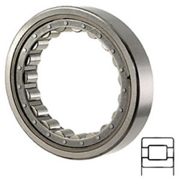 NTN M5207GEX Cylindrical Roller Bearings #1 image