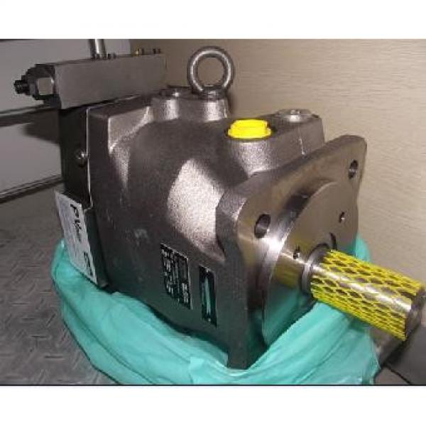 Plunger PV series pump PV20-1L1D-K00 #1 image